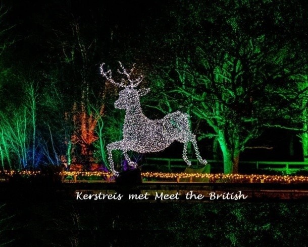 Lightshow at nottinghamshire-lincolnshire belton-estate